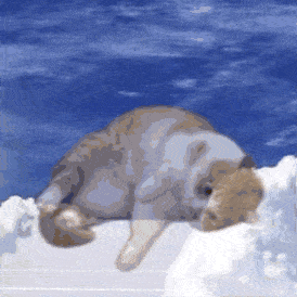 阳康后脸蛋干得直冒烟？不能做脸的日子还能做点啥？