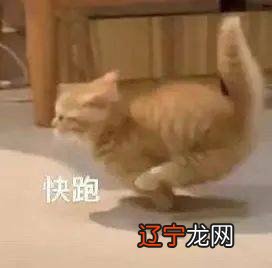 点赞“社交悍匪”叶舒华！实现“社交自由”到底有多快乐？