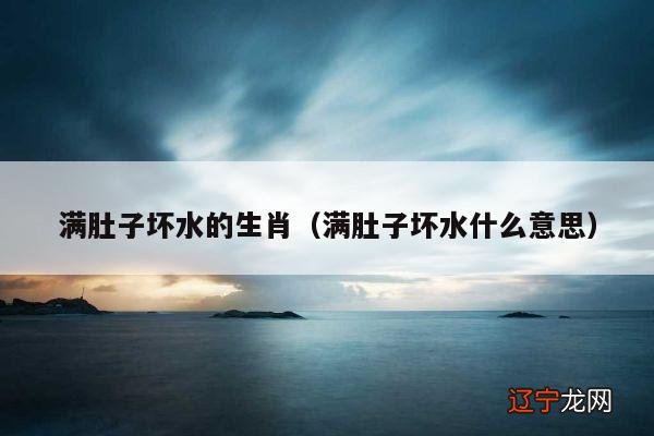 满肚子坏水什么意思 满肚子坏水的生肖