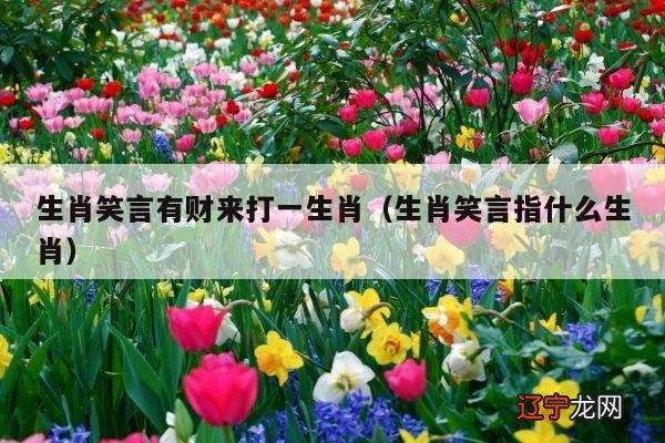 生肖笑言指什么生肖 生肖笑言有财来打一生肖