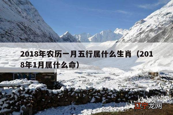 2018年1月属什么命 2018年农历一月五行属什么生肖