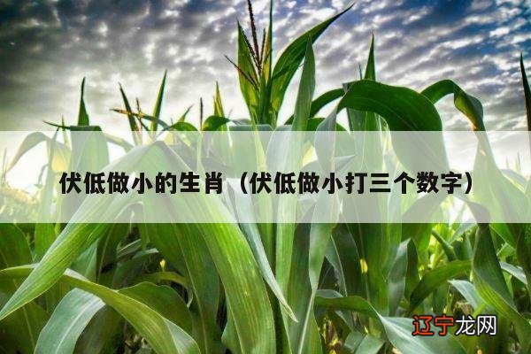 伏低做小打三个数字 伏低做小的生肖