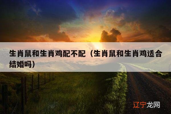 生肖鼠和生肖鸡适合结婚吗 生肖鼠和生肖鸡配不配