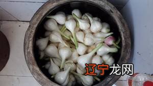 新蒜怎么腌好吃吗