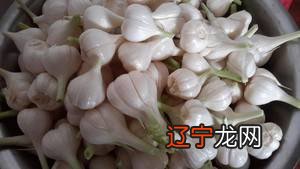 新蒜怎么腌好吃吗