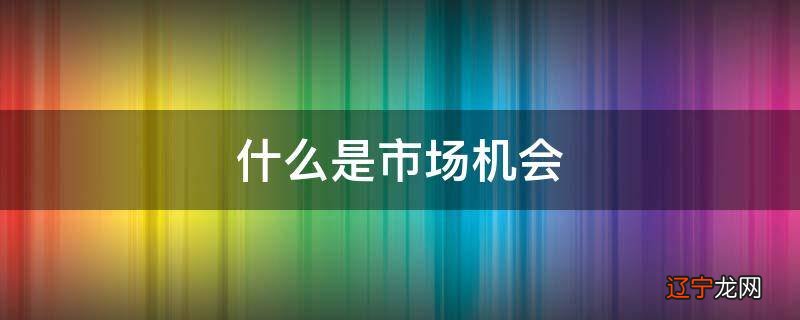什么是市场机会