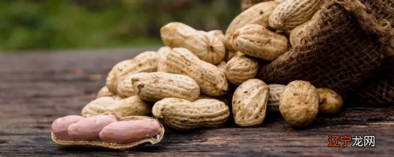 花生是不是坚果