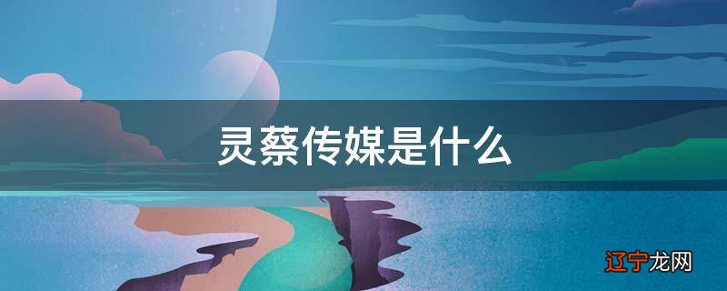 灵蔡传媒是什么