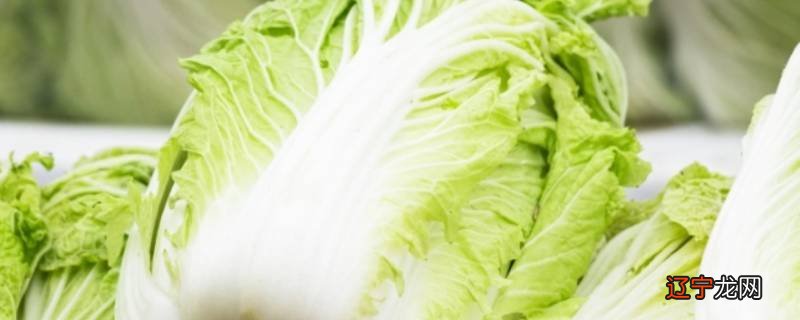 越冬蔬菜有哪些