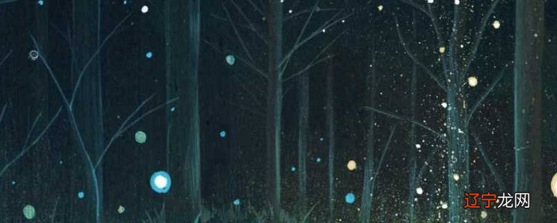 萤火虫的外形特点和生活特征