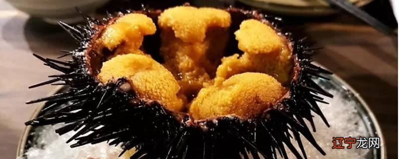 海胆是什么味道