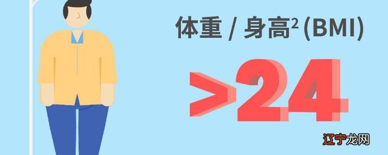 bmi25是什么水平