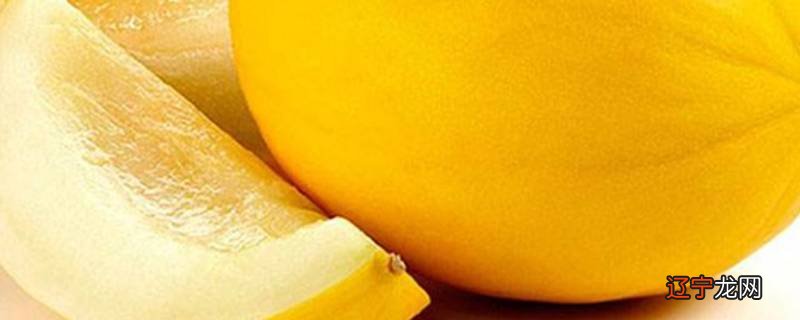 黄皮的甜瓜叫什么