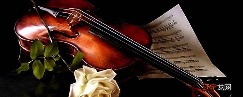 双琴侠是哪国人