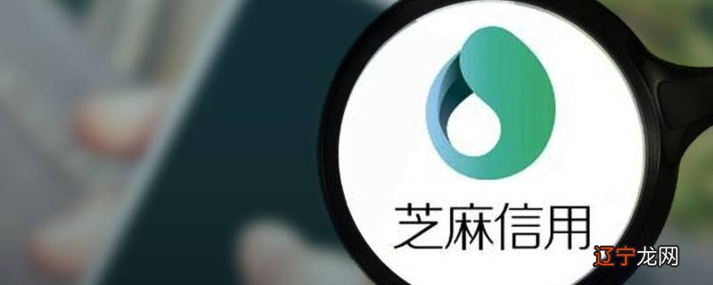 悠悠有品多少芝麻信用可以免押金