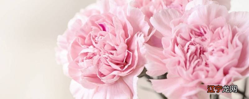 母亲节给客户送什么礼物