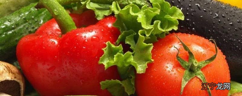 茄果类蔬菜的共同特点是