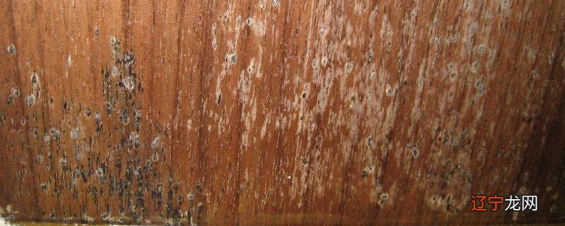 旧家具霉味如何去除