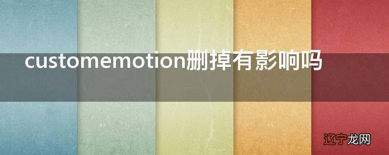 customemotion删掉有影响吗