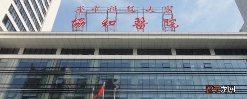 精心旗舰店是真的吗