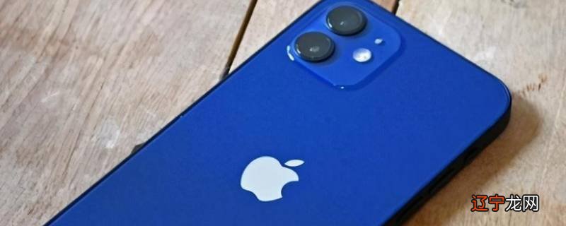 双方苹果12看不了正在输入