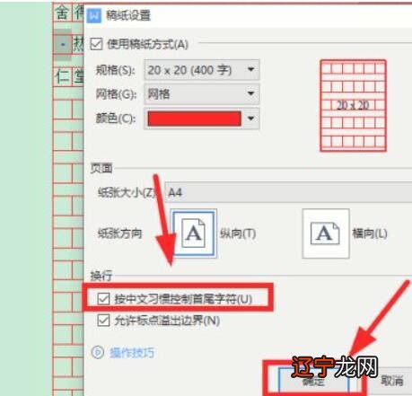 wps文档标点符号无法调整成中文