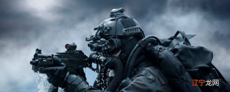 武警反劫机中队队员算特种兵吗