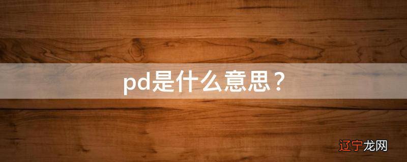 pd是什么意思？