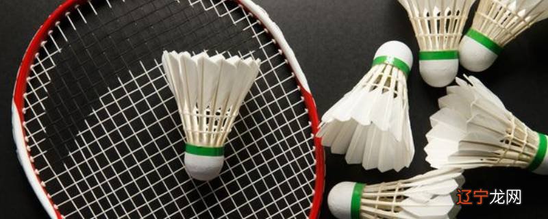 羽毛球拍的磅数多少