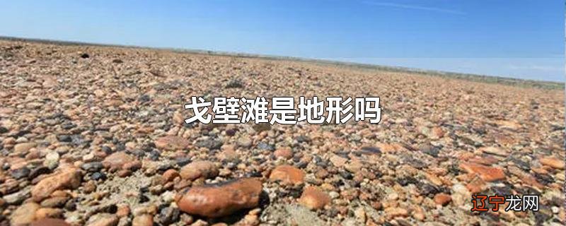 戈壁滩是地形吗