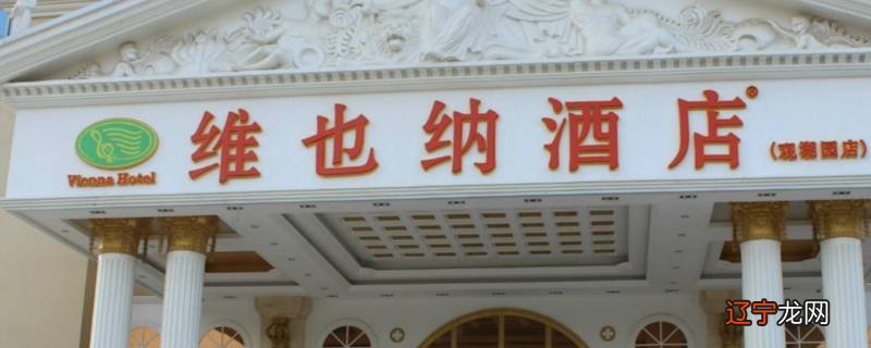 维也纳酒店是几星级酒店