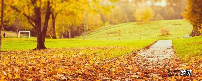 秋天天气的变化