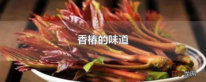香椿的味道