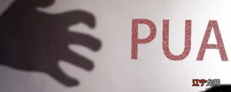 pua什么意思？