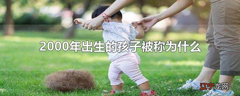 2000年出生的孩子被称为什么