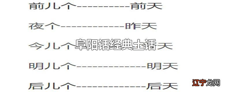 阜阳话经典土话