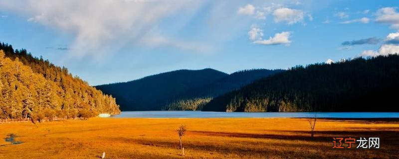 香格里拉市景点