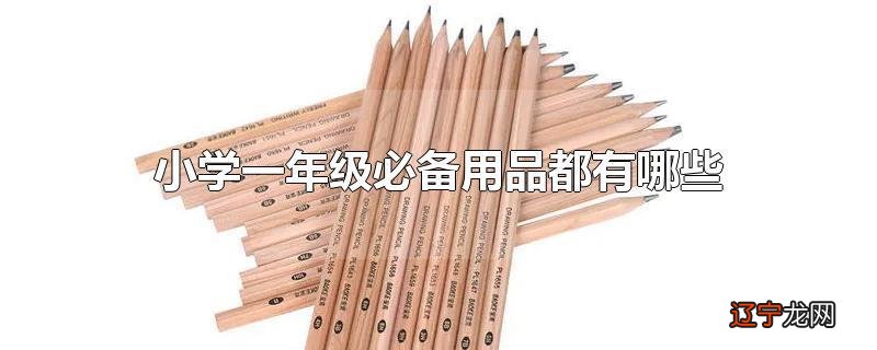 小学一年级必备用品都有哪些