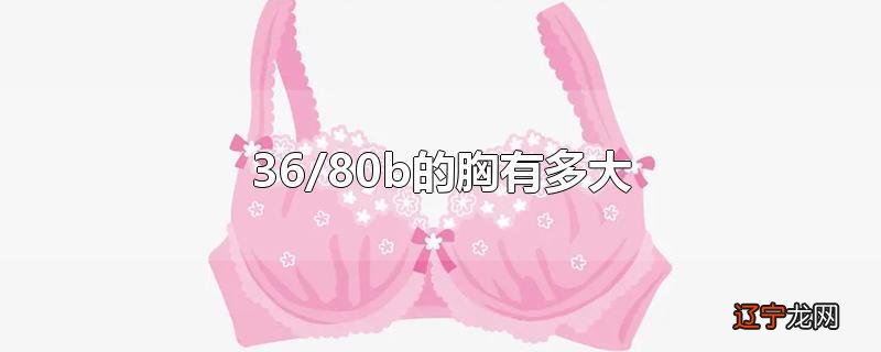 36/80b的胸有多大