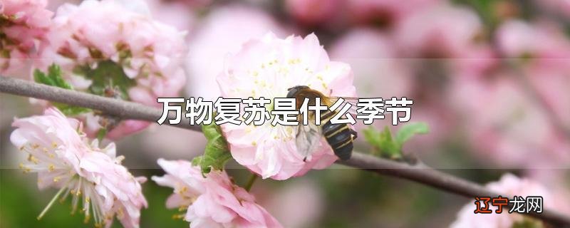 万物复苏是什么季节