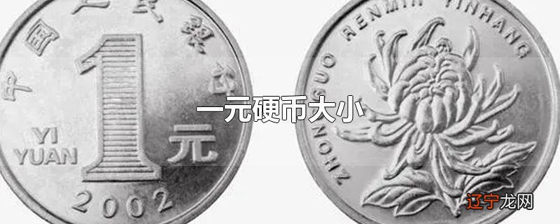一元硬币大小