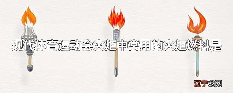 现代体育运动会火炬中常用的火炬燃料是