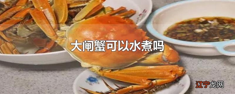 大闸蟹可以水煮吗