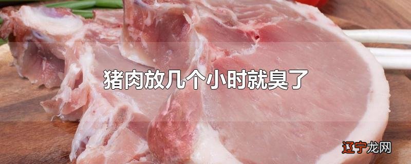 猪肉放几个小时就臭了
