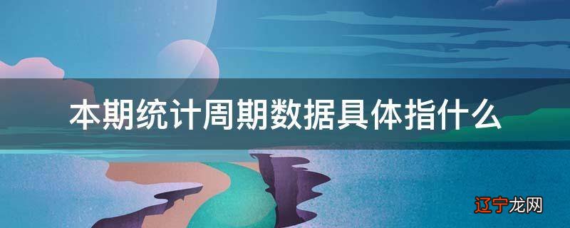 本期统计周期数据具体指什么
