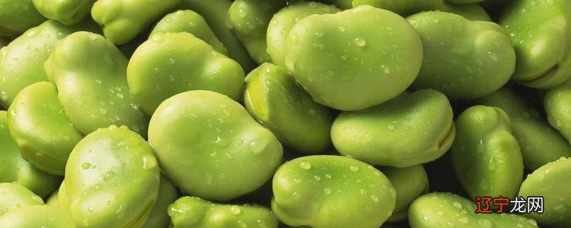 青蚕豆放冰箱怎么保存