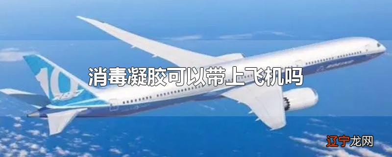 消毒凝胶可以带上飞机吗