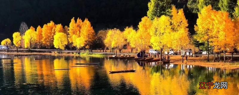 秋天是什么颜色的