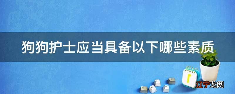 狗狗护士应当具备以下哪些素质