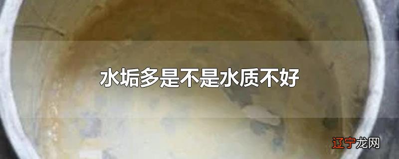 水垢多是不是水质不好